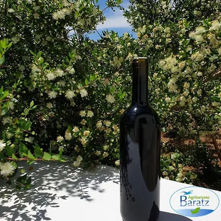Farm stay Baratz Santa Maria la Palma